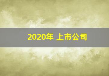 2020年 上市公司